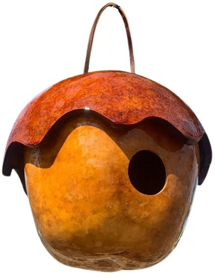 ADORABLE ACORN 2 GOURD BIRDHOUSE - Amish Hand Painted Bird HouseSaving Shepherd