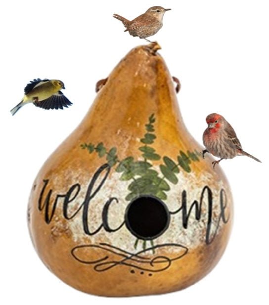 BirdhouseEUCALYPTUS