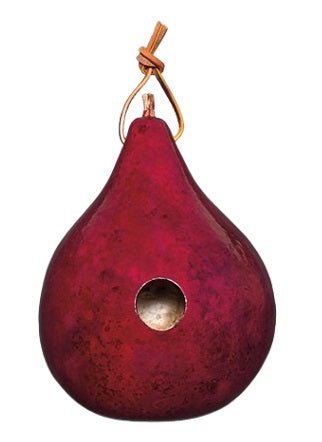 BirdhouseGOURD BIRDHOUSE - Handmade & Finished Bird House in 6 Colors Amish USAbirdbird houseSaving Shepherd