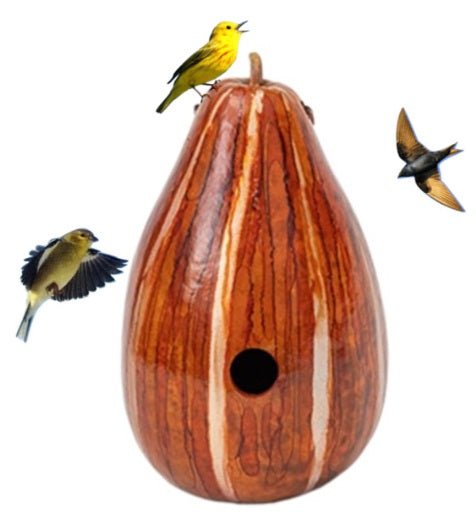 BirdhouseORANGE & HONEY PSYCHEDELIC STRIPED BIRDHOUSE - Amish Hand Mottled Gourd Bird HouseSaving Shepherd