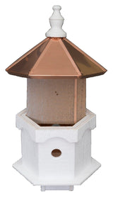 BirdhouseDOUBLE BLUEBIRD HOUSE - 2 Room Copper Birdhouse Condobirdbird houseSaving Shepherd