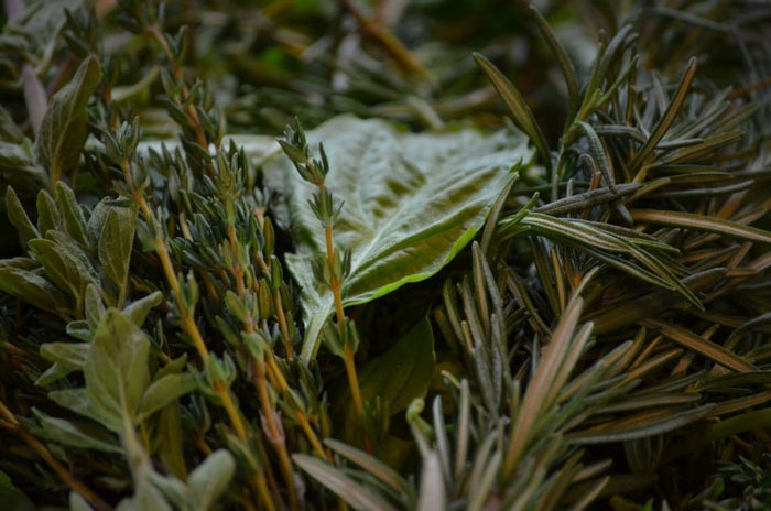 PerfumeHERBAL AROMOTHERAPY MIST - Basil, Oregano, Rosemary & Thyme Body SprayACEaromatherapySaving Shepherd