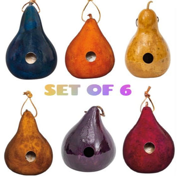 Birdhouse6 COLOR GOURD BIRDHOUSES - Set of Six: Red Blue Brown Orange Purple NaturalSaving Shepherd