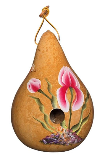 BirdhouseBLOOMING IRIS GOURD BIRDHOUSE - Amish Hand Painted in 3 ColorsSaving Shepherd