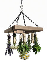 Drying RackHanging Clothes Pin Rack with 8 Clips – All Weather Poly Laundry Herb Drying & Kitchen OrganizerSaving Shepherd