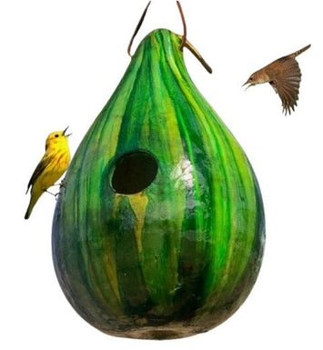 GREEN PSYCHEDELIC STRIPED BIRDHOUSE - Amish Hand Mottled Gourd Bird House USASaving Shepherd