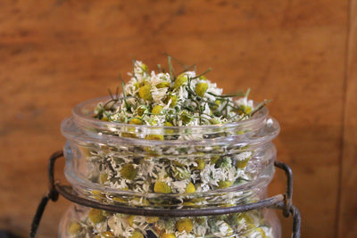Herbal SupplementCHAMOMILE FLOWER - Organic Dried Single Ingredient Tea 4 ozdigestiondigestive healthSaving Shepherd