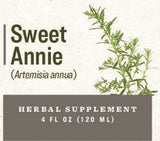 Herbal SupplementSWEET ANNIE - Sweet Sagewort / Annual Mugwort / Annual Wormwood Single Herb ExtractdigestiondigestiveSaving Shepherd