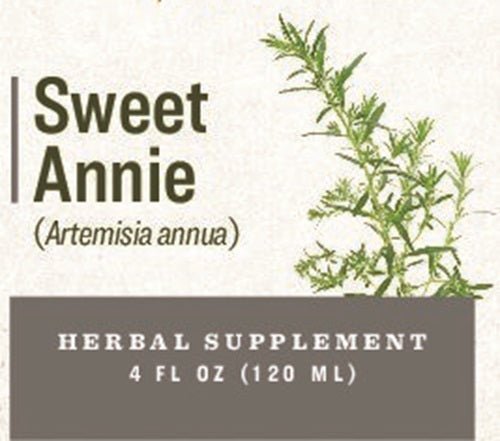 Herbal SupplementSWEET ANNIE - Sweet Sagewort / Annual Mugwort / Annual Wormwood Single Herb ExtractdigestiondigestiveSaving Shepherd