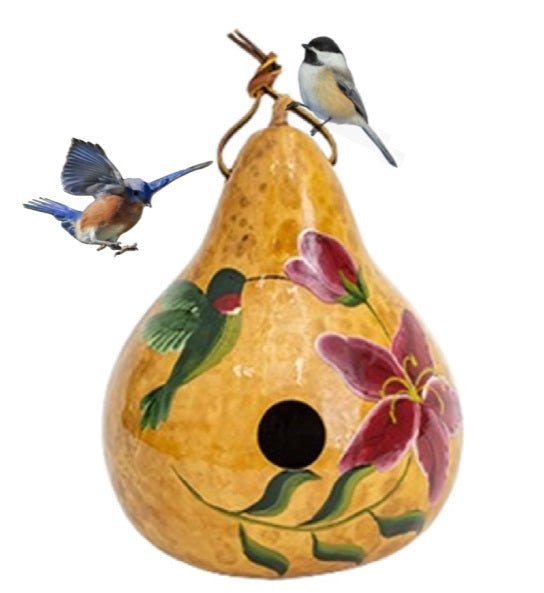 HUMMINGBIRD GOURD BIRDHOUSE - Amish Hand Painted Bird House USA