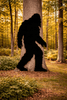 Lawn DecorBIG FOOT SILHOUETTE - Sasquatch Bigfoot Outdoor Yard Art in 2 SizesSaving Shepherd