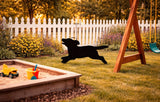 Lawn DecorRUNNING PUPPY DOG SILHOUETTE - Playful Pup Amish Outdoor Yard and Wall ArtSaving Shepherd