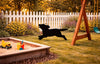 Lawn DecorRUNNING PUPPY DOG SILHOUETTE - Playful Pup Amish Outdoor Yard and Wall ArtSaving Shepherd