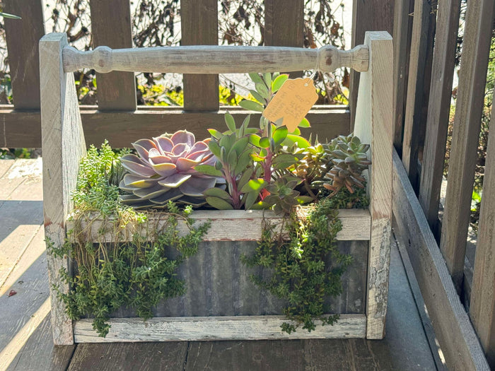 succulent holder wood Toolbox Succulent Planter