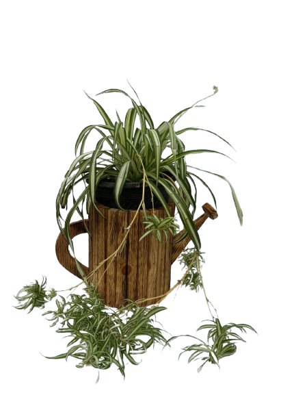 hanging plant watering can Wood Planter Large Watering Can