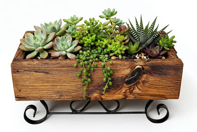 SLEIGH PLANTER - Wrought Iron & Mushroom Wood Plant BasketSaving Shepherd