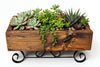 SLEIGH PLANTER - Wrought Iron & Mushroom Wood Plant BasketSaving Shepherd