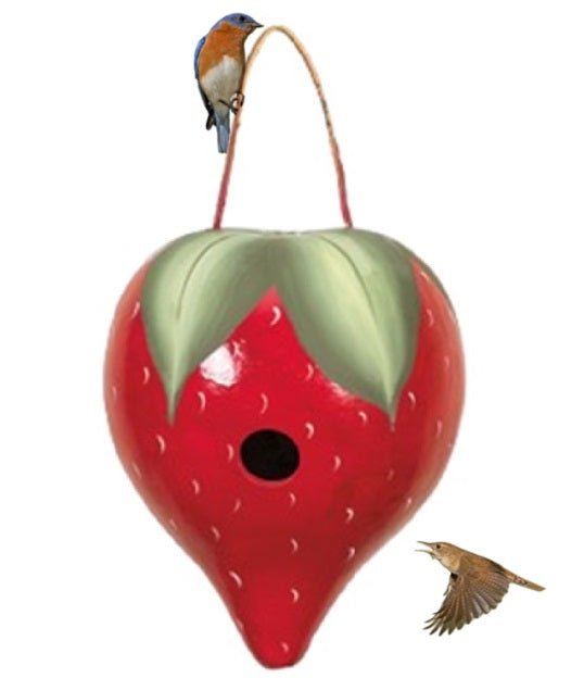 STRAWBERRY BIRDHOUSE - Amish Hand Painted Gourd Bird House USA