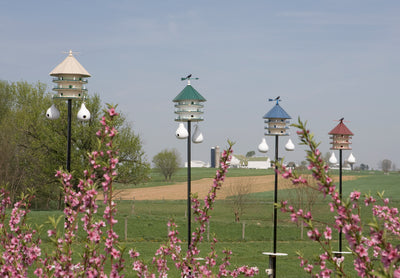 2 ROOM BLUEBIRD BIRD HOUSE - Hexagon Double Birdhouse Amish USA