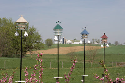 Birdhouse10 ROOM CEDAR BIRDHOUSE- Large 30½" Copper Roof Bird Housebirdbird houseSaving Shepherd