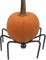 Metal Spider Fall Decoration Pumpkin Mum Plant Display Candy Dish Holder