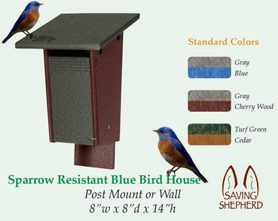BirdhouseSparrow Resistant BLUEBIRD HOUSE - 100% Recycled Poly Birdhouse Amish Handmade in USAbirdbird feederSaving Shepherd