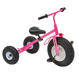 Lapp WagonsAMISH TRICYCLE with TRAILER - Heavy Duty Big Kids Trike & Cart USAAmishWheelstricycleSaving Shepherd