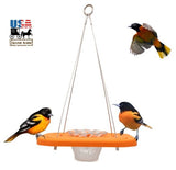 Bird FeederHANGING ORIOLE FEEDER - Eco Friendly Weatherproof Poly Custom Colors USAbirdbird feederSaving Shepherd