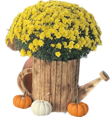 PlanterLarge Watering Can Wood Planter: Amish Handcrafted Rustic Garden Decor for Mums and FlowersSaving Shepherd