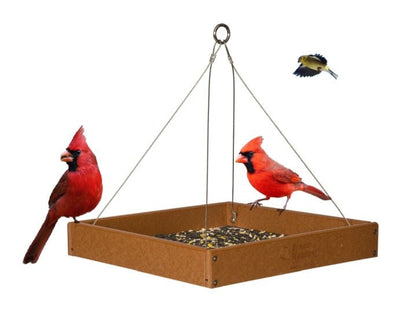 Bird Feeder1 SQUARE FOOT FLYBY BIRD FEEDER - Large Open Platform Seed Fruit Nut Traybirdbird feederSaving Shepherd