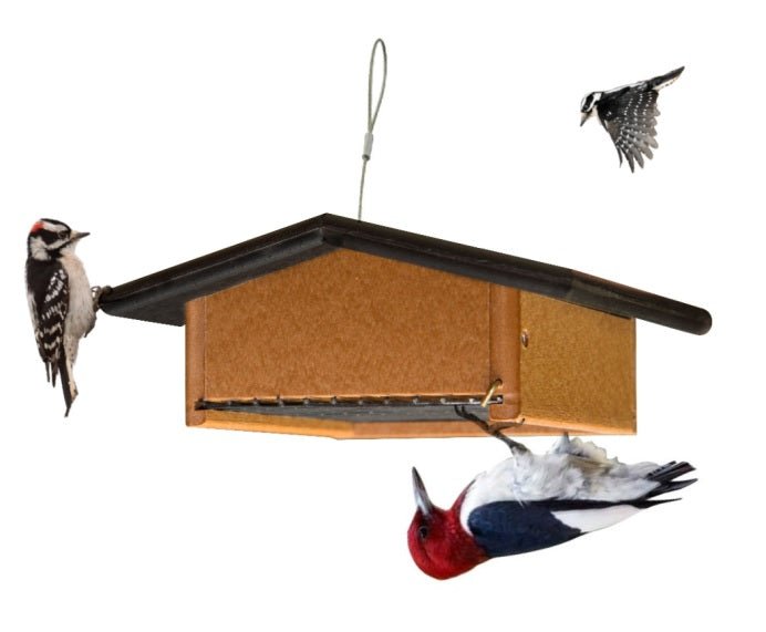 Bird Feeder UPSIDE DOWN SUET FEEDER – Saving Shepherd