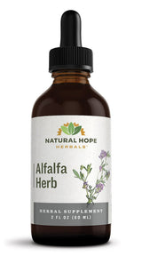 ALFALFA HERB EXTRACT - Nutritive Blend for Wellness