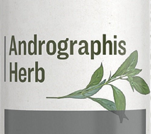 Herbal SupplementANDROGRAPHIS HERB - Bitter TonicandrographishealthSaving Shepherd