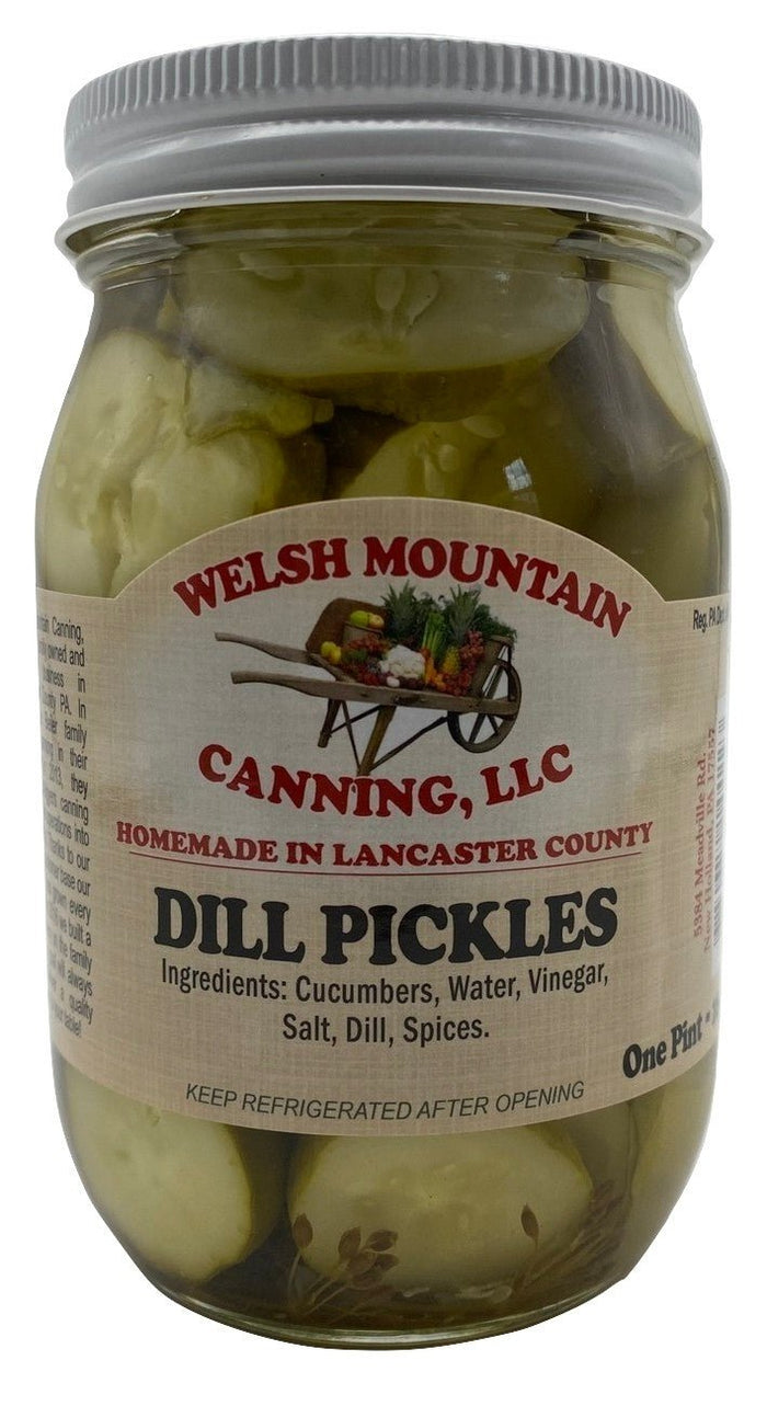 CLASSIC DILL PICKLES - 16 & 32 oz Jars Amish Homemade in Lancaster USA
