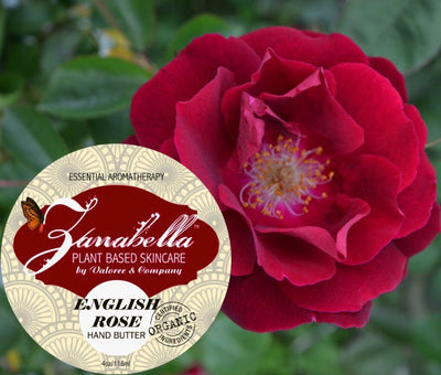 Skin CareENGLISH ROSE HAND BUTTER - Organic Mango and Shea Butter & Avocado and Essential Oil BlendACEbutterSaving Shepherd