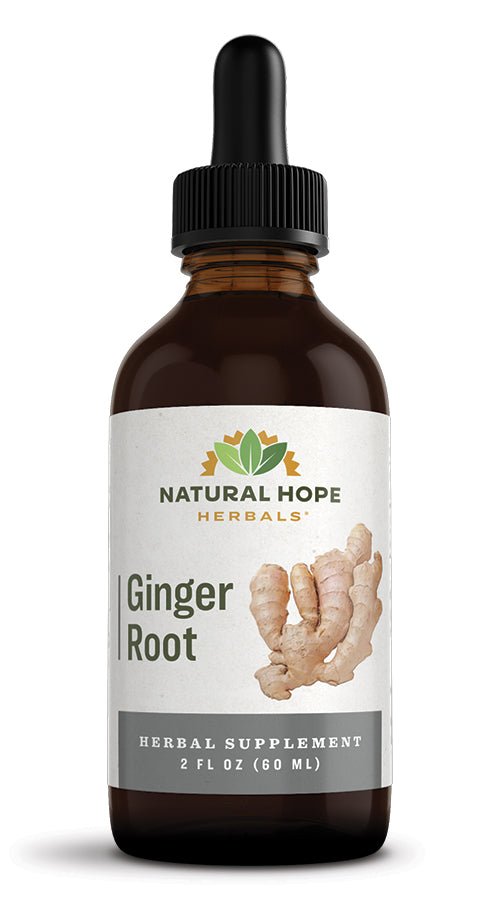 Herbal Supplement GINGER ROOT Liquid Extract Tincture Saving Shepherd