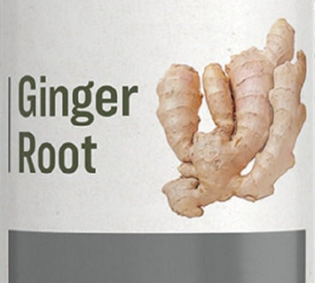 Herbal SupplementGINGER ROOT - Liquid Extract Tincturedigestive healthgingerSaving Shepherd