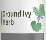 Herbal SupplementGROUND IVY HERB - Single Extract TonicImmune Healthsingle herb extractSaving Shepherd