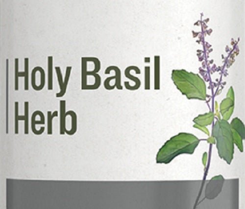 Herbal SupplementHOLY BASIL HERB - Traditional Support Tonicgeneral healthhealthSaving Shepherd