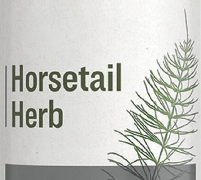 Herbal SupplementHORSETAIL HERBhealthHerbalImmune Health2ozSaving Shepherd