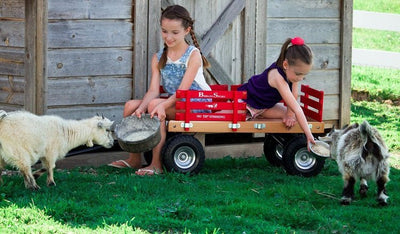 Wheelbarrows, Carts & WagonsALL TERRAIN BERLIN FLYER WAGON - Beach Garden Cart in 8 Bright Colors AMISH USAAmishWheelsoutdoorSaving Shepherd