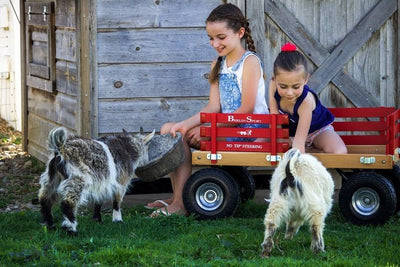 Wheelbarrows, Carts & WagonsALL TERRAIN BERLIN FLYER WAGON - Beach Garden Cart in 8 Bright Colors AMISH USAAmishWheelsoutdoorSaving Shepherd