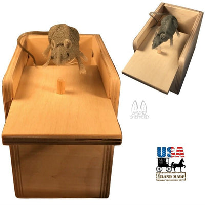 Wooden & Handcrafted ToysMouse Surprise Box - Amish Practical Prank Gag Gift Prank USA HANDMADEchildrengamesSaving Shepherd