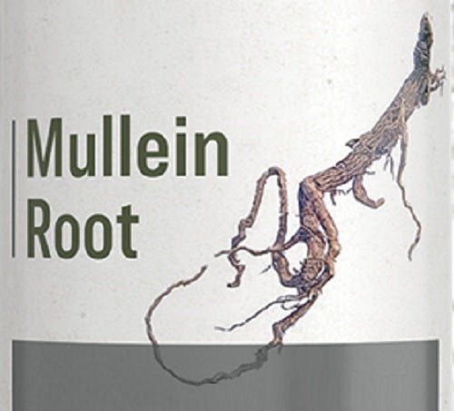 Herbal Supplement MULLEIN ROOT - Liquid Extract Tincture – Saving Shepherd