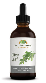 Herbal SupplementOLIVE LEAF - Liquid Extract Tincturegeneral healthhealthSaving Shepherd