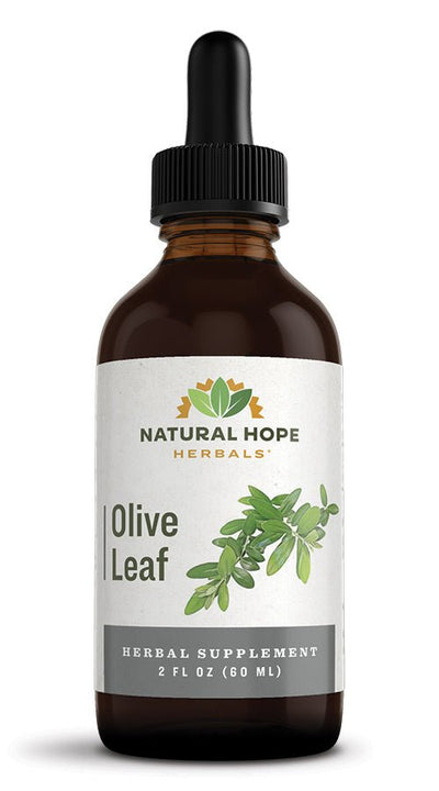Herbal SupplementOLIVE LEAF - Liquid Extract Tincturegeneral healthhealthSaving Shepherd