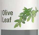 Herbal SupplementOLIVE LEAF - Liquid Extract Tincturegeneral healthhealthSaving Shepherd