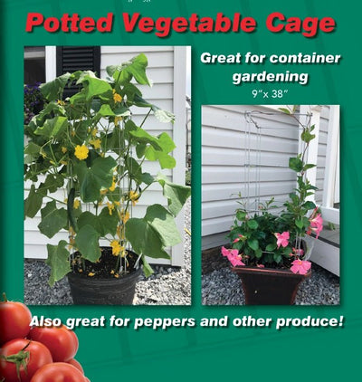 Vegetable CageFOLDING POTTED PLANT & VEGETABLE CAGE - Heavy Duty Gavanized SteelflowerflowersSaving Shepherd