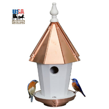 Birdhouse19