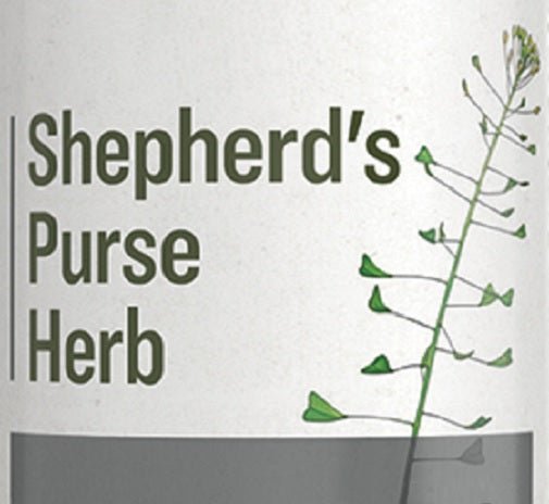 Herbal SupplementSHEPHERD'S PURSE HERB -SINGLE HERB LIQUID EXTRACT TINCTUREScardiovascularhealthSaving Shepherd